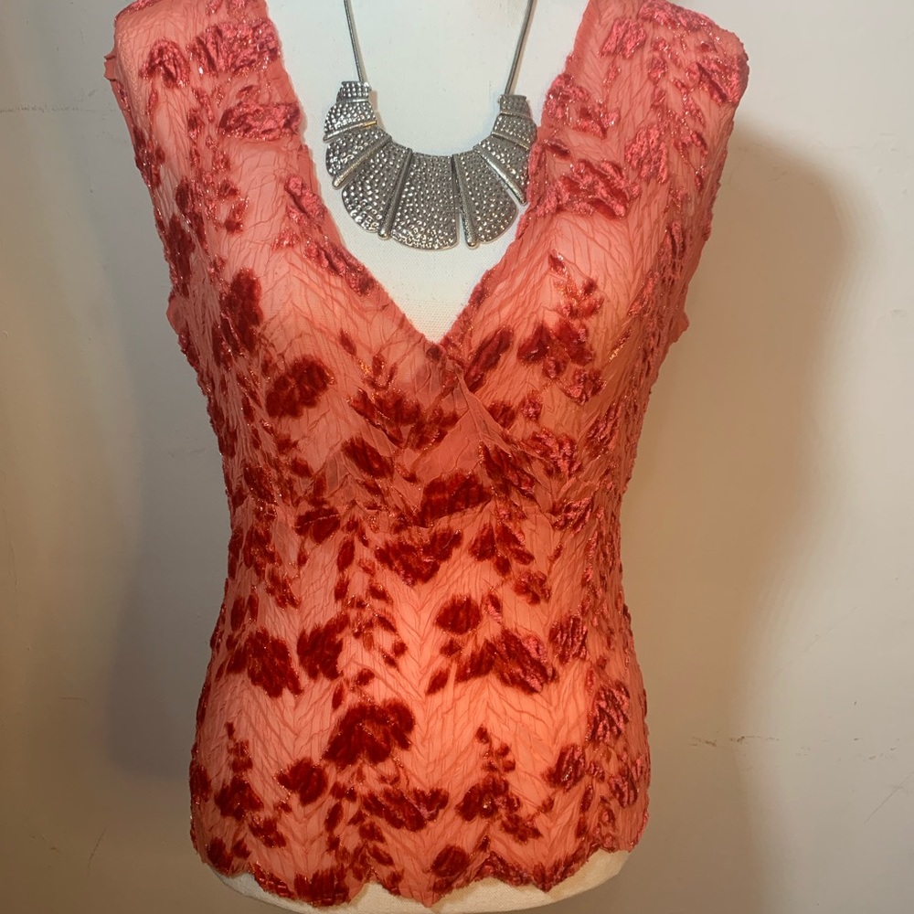 Sheer Medium blouse Coral velvet silver thread slight v neck